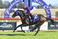 TOROSO WIN A NOD TO THE LATE DON STOREY