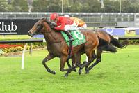 MISTEED EARNS CRACK AT SATURDAY GRADE