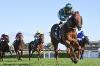 HELAKU STEPS UP TO RANDWICK