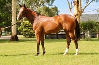 DEBUTANT WRITES OWN STORY
