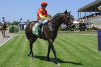 COSMIC FORCE AND NATALIA WIN FIRST TWO AT NEWCASTLE