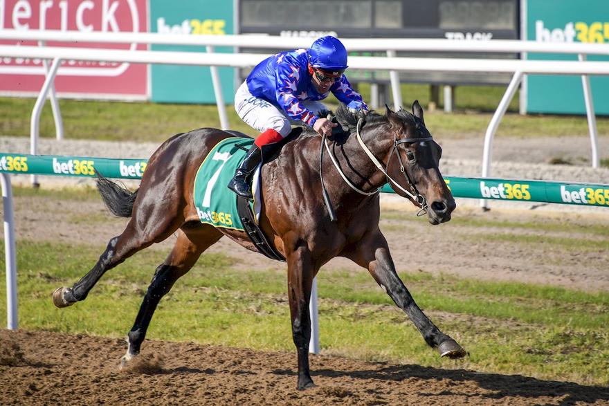 NO MORE BIDS WINS IN SECOND CAREER START