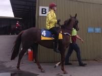 RICH TURF WINS TRIAL CONVINCINGLY BY 1.25L