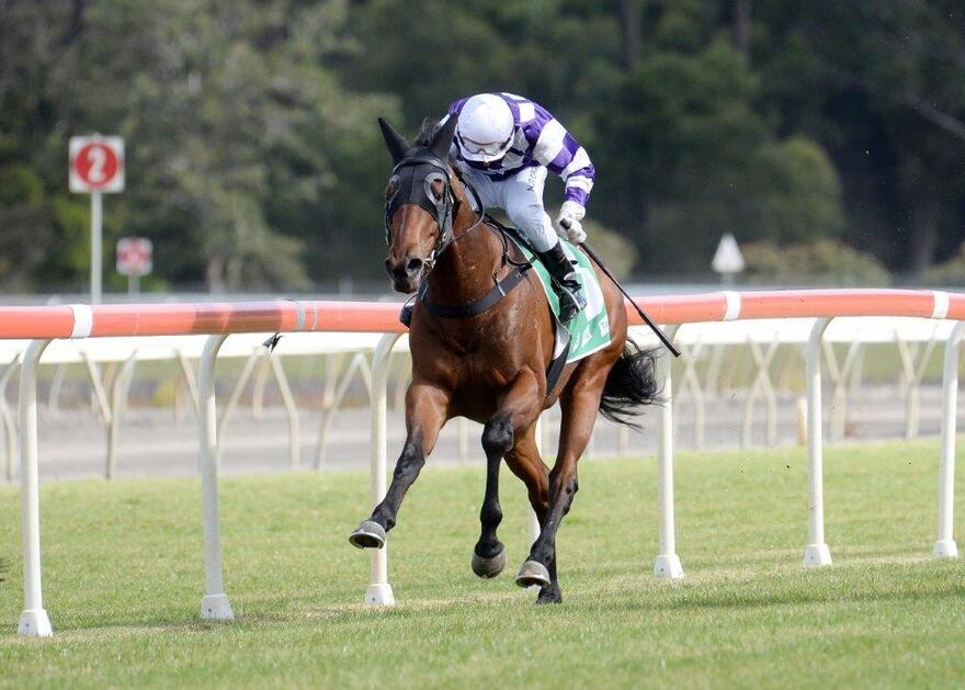 SHARPAY RULER WINS ON DEBUT FOR RACING CLUB