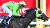 Tassie Tsha Hits rivals for six at HQ