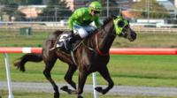 It is a two-horse race to be named Tasmania’s best
