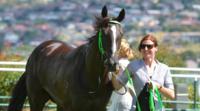 Tshahitsi gives Miller her first winner as a trainer
