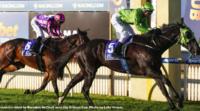 Tasmanian tourists take home Echuca Cup