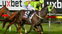 Emphatic win delays Tshahitsi’s return to Tasmania