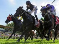 Gutsy Bassett wins second stakes race in 8 days