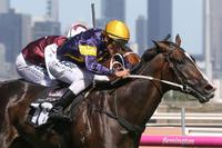 Price possesses Guineas Grunt