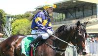 Price's Guineas hand has Grunt