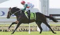 Ardrossan ready for Rubiton