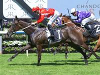 Seabrook sound for Champagne bid