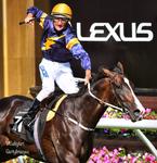 Guineas winner Grunt's big spring future