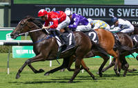Seabrook races into Golden Slipper
