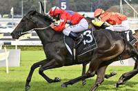 Seabrook swoops to give Damien Oliver his 110th Group 1 win