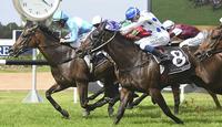 Oregon's Day 'hard to beat' in Doomben Cup