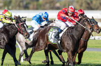 She's So High adds Group Three Proud Miss Stakes to her resume