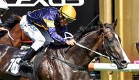 Price expects stablemates to Boss Grunt