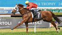 Miss Admiration switch pays off in Sydney