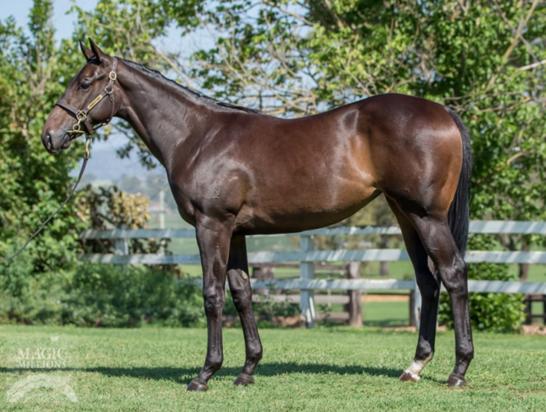Written Tycoon X Fontiton