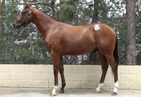 I Am Invincible X Pearl Star