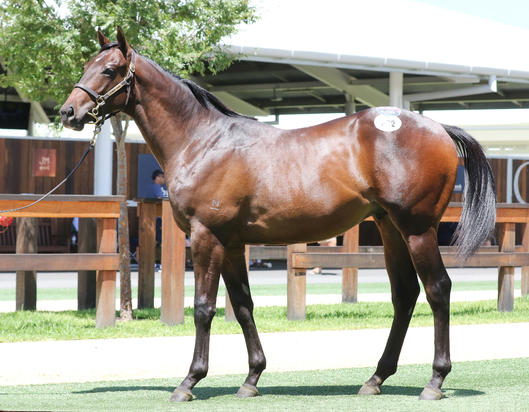 Written Tycoon X Ruby Soho