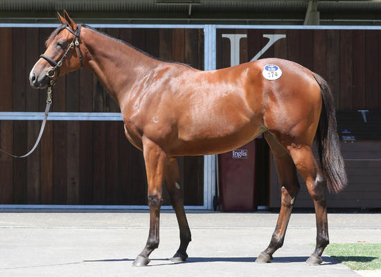 Rubick X Calm Smytzer