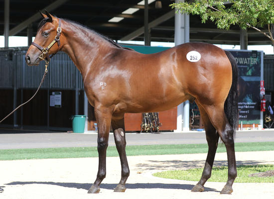 Street Boss X Demeanour