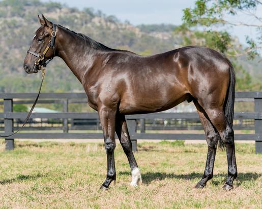 Shamus Award X Australia Day