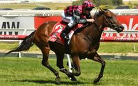 Glenrowan Prince gives Hann first city win