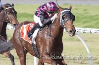 Back-to-back Adelaide wins with All About Nicci