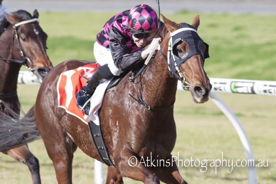 Australian Horse Trainer Kym Hann Racing