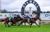Hann hopes Rogue can be a star in the making