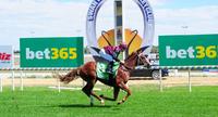Hann unveils another impressive youngster