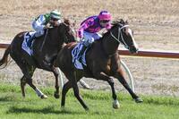 Bendigo filly Gloves Are Off destined for better races
