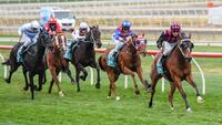 Elmore Lad triumphs for Hann on home track