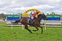 Acccelerato demolishes field at Bendigo for monster VOBIS maiden