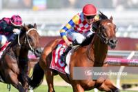 Manolo Blahniq gaps them at Caulfield for explosive win