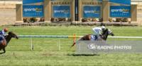 Two in a row for Steel of Madrid as Noonans combine again