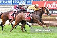 She's Positive lands Noonan in the winners stall again on Mornington Cup Day