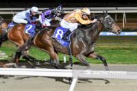 It’s Perfect Pakenham again for Pirellina