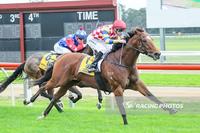 Mutual Respect kicks off career with win on debut