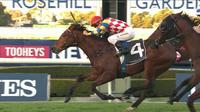 Manolo Blahniq rockets home for rampant win at Rosehill