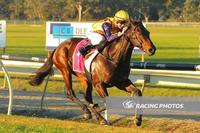 Chas Marlow Wards them off to make it back-to-back wins