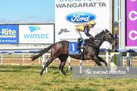 Chas Marlow scoops VOBIS Gold bonus for Wards and Noonans
