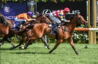 Manolo Blahniq scores in Chester Manifold
