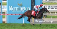 Raven’s Blaze motors around Mornington for another win