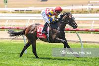 Florent cruises at Mornington to break maiden with dominant win